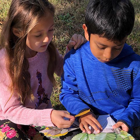  two kids looking at leaves